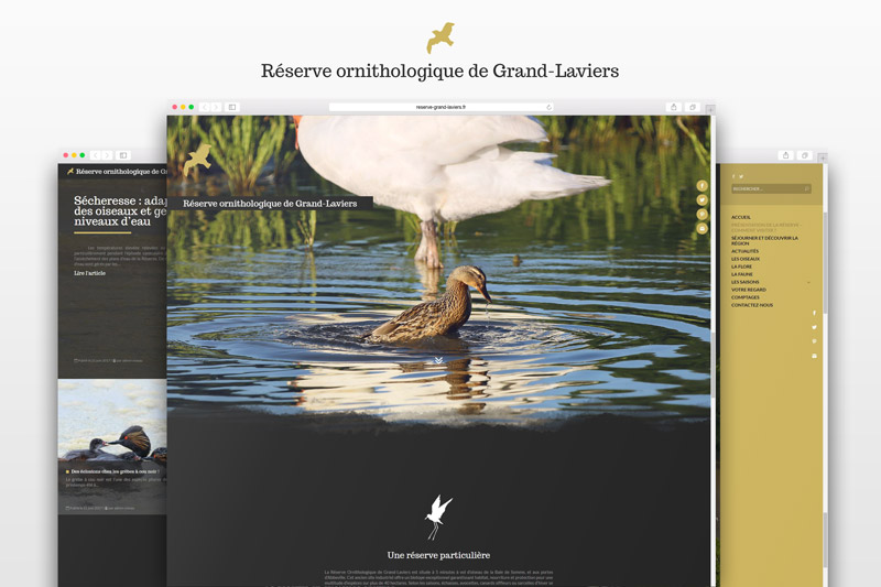 Réserve ornithologique Grand-Laviers site